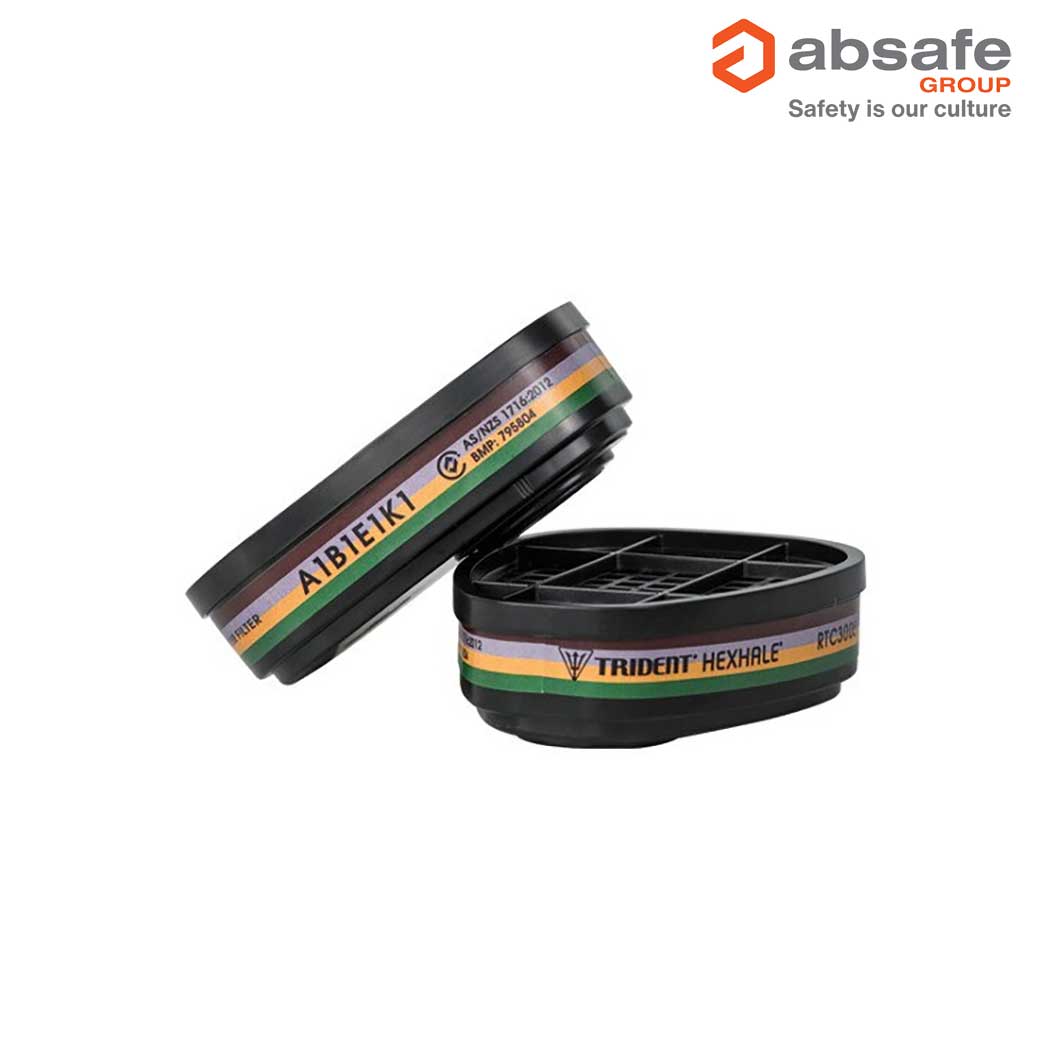 TRIDENT® HEXHALE® Multi Gas Vapour A1B1E1K1 Filter