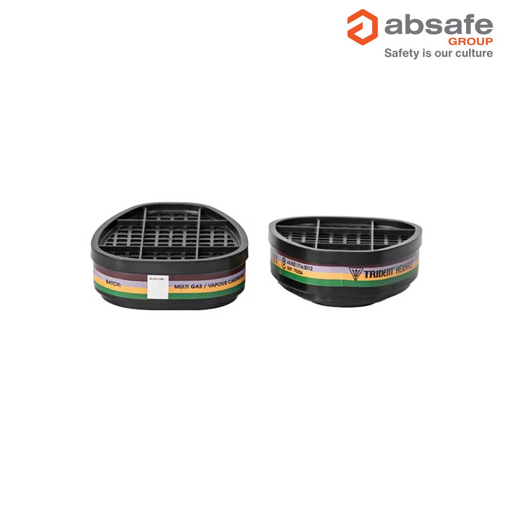 TRIDENT® HEXHALE® Multi Gas Vapour A1B1E1K1 Filter