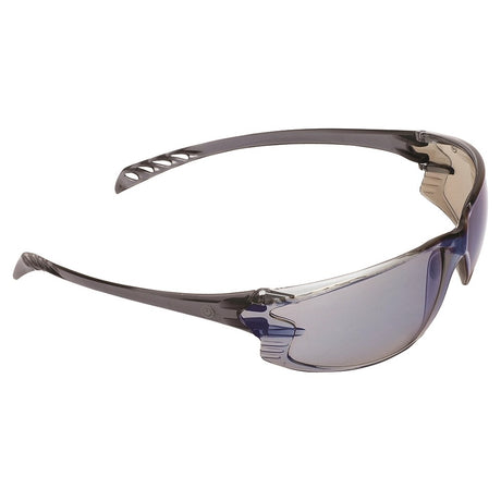 ProChoice 9900 Safety Glasses