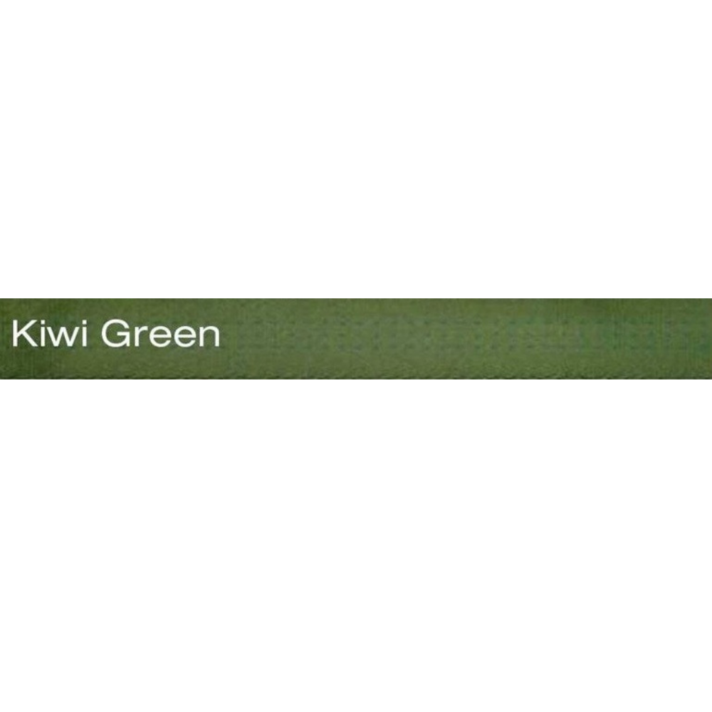 BlueWater 25mm Climb-Spec Tube Tape Webbing-kiwi green